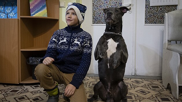 Dti si ve stedisku psychologick rehabilitace v ukrajinsk Bojarce hraj se psem. (7. prosince 2022)