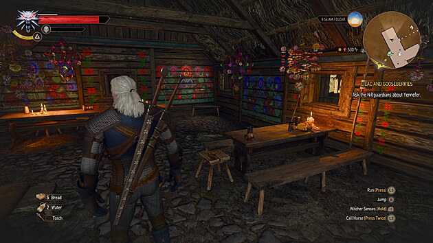 Witcher 3 Next-gen