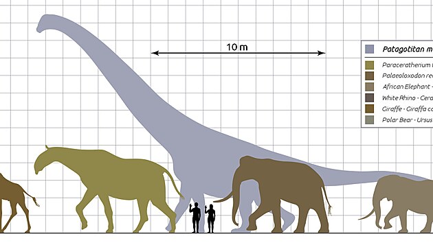 Sauropodi svmi rozmry vrazn pekonvaj vechny ostatn ob zstupce suchozemskch ivoich, a u to jsou jin druhohorn dinosaui nebo gigantit kenozoit savci. Titanosaur druhu Patagotitan mayorum byl jen o trochu men ne argentinosaurus, dosahoval dlky kolem 37 metr a vil tm 70 tun.