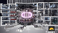 Vizualizace tokamaku ITER
