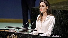 Herečka Angelina Jolie na půdě OSN v březnu 2019