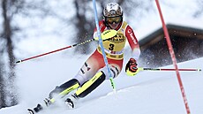 výcarská lyaka Wendy Holdenerová bhem slalomu v Sestriere.
