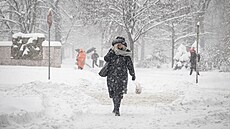 Sněhová kalamita zasáhla Ostravu (16. prosince 2022)