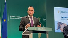 Místopedseda irské vlády Leo Varadkar. (19. listopadu 2022)