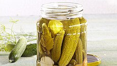 Nakl�dan� okurky