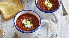 Studen� pol�vka Gazpacho