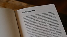 Kniha Vzpomínky na úhoe od spisovatelky Anny Cimy (2022)
