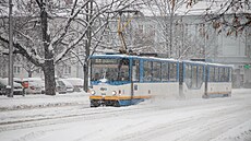 Snhová kalamita v Ostrav zcela ochromila hromadnou dopravu. Nkteré linky...