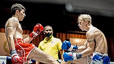 Bud�jovický bojovník Michal Paki� (vlevo)