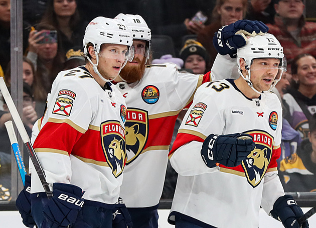 Florida uťala sérii porážek, na ledě soupeře uspěli i Wild a Islanders