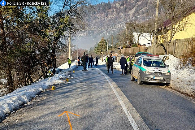 Na Slovensku narazilo auto do sloupu, při nehodě zemřely dvě děti