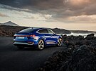Audi Q8 e-tron Ultrablue