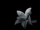 Záící keslo Diamond ve tvaru lilie v sob ukrývá pevnou ocelovou konstrukci...