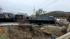 Vlak v Tennessee vykolejil po nárazu do pívsu kamionu, který vezl velký...