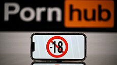Nejvyhledávanjí kategorií porna se v roce 2022 stalo porno lesbické, v...