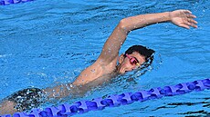 Plavecká Váno�ní cena zapojí ve Strakonicích celé rodiny