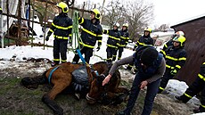 Dv jednotky hasi pomáhaly se záchranou dvaadvacetiletého kon Lombardina v...
