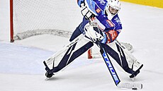 Kladenský branká� Adam Brízgala