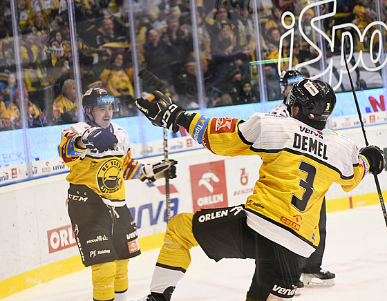 Hokejisté Litvínova slaví gól v utkání extraligy proti Mladé Boleslavi, vlevo...