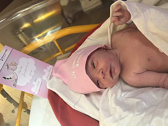 Prvním miminkem narozeným v roce 2023 je Anika, pila na svt v nemocnici ve...
