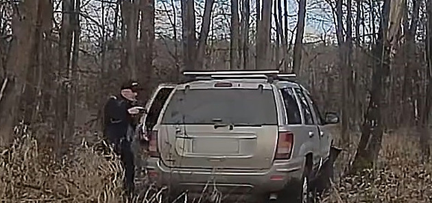 Zdrogovaný řidič trefil strom a utekl do lesa, tam ho vyčmuchal policejní pes
