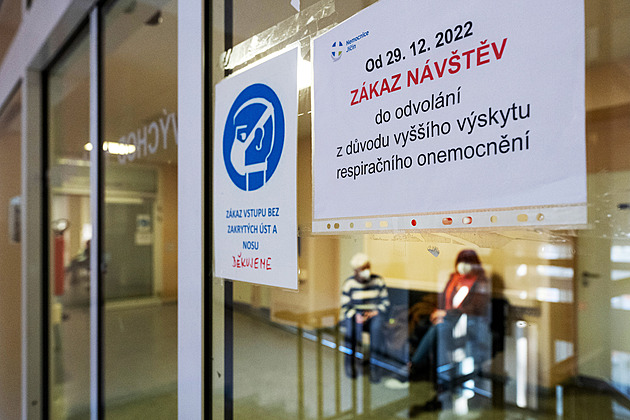 Česko drtí chřipka, vytěsňuje jiné viry. Nemocnice řeší problémy s lůžky