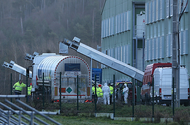 Nedostatek a zdražení vajec kvůli ptačí chřipce zatím nehrozí, tvrdí drůbežáři