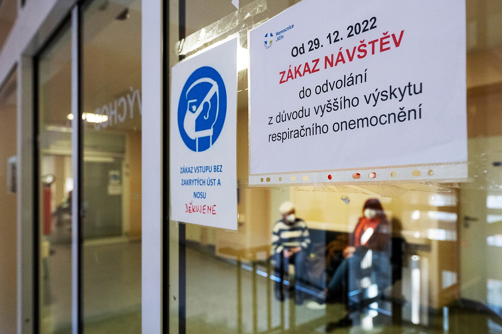 Loni kvůli chřipce skončilo v nemocnici 53 tisíc lidí. U seniorů počet vzrostl o třetinu