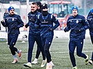 Plzetí fotbalisté bhem tréninku v zimní pípravu ke konci roku 2022.