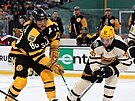 David Pastrák (88) z Boston Bruins a Jan Rutta (44) z Pittsburgh Penguins v...