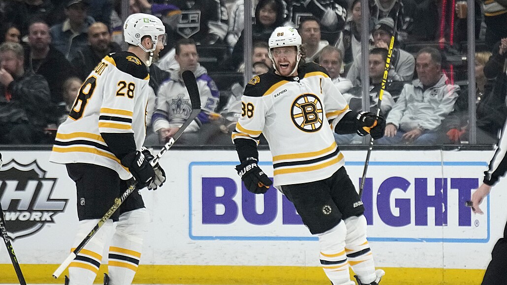 David Pastr�ák (vpravo) a jeho spoluhrá� z Bostonu Derek Forbort oslavují gól.