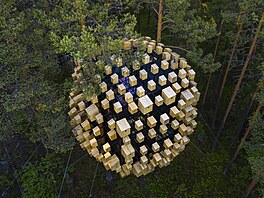 Unikátní hotelový pokoj umístný v korunách strom se jmenuje Biosphere....