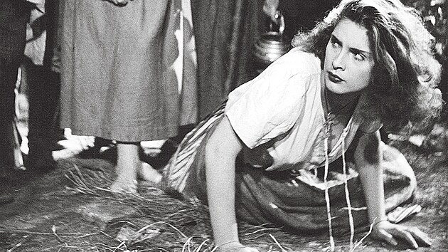 Poprv se ocitla Vlasta Fialov ped kamerou ve filmu Div Bra (1949).