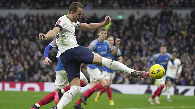 Kapitn Tottenhamu Harry Kane stl na brnu bhem utkn FA Cupu proti Portsmouthu.