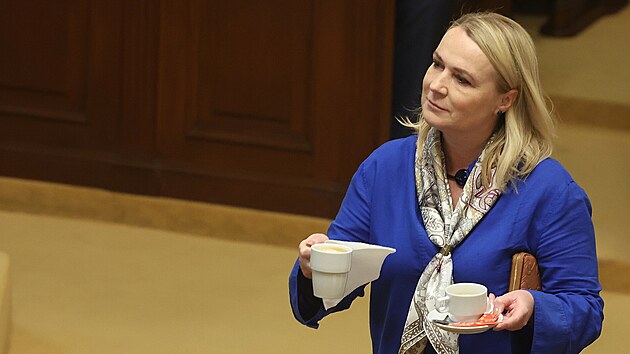 Ministryn� obrany Jana �ernochov� (ODS) na jedn�n� Poslaneck� sn�movny. (2. z��� 2022)