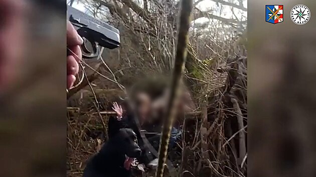 Zdrogovan� �idi� trefil strom a utekl do lesa