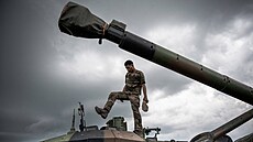 Francouzská bojová vozidla AMX 10-RC na vojenské základ� v Rumunsku (14. �ervna...