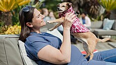 P�ítomnost psa v dob� t�hotenství a v prvním roce �ivota dít�te m��e podle...