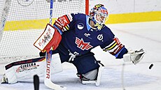 Branká eských Budjovic Dominik Hrachovina v utkání hokejové extraligy proti...
