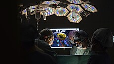 Virtuální svět. V IKEM virtuální a rozšířená realita usnadňuje lékařům složité...