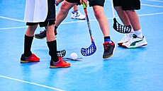 ilustra�ní snímek