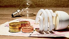 Inflaci (tedy zdra�ování) táhnou nahoru hlavn� ceny energií. Prof. Tomá�...