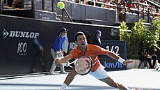 Novak Djokovi ve finále turnaje v Adelaide.