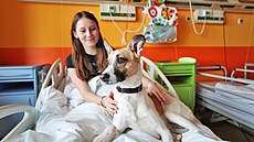 Za malými pacienty dtského oddlení karlovarské nemocnice piel se psem...