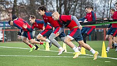 K prvnímu tréninku se fotbalisté Pardubic se�li na um�lém trávníku v...