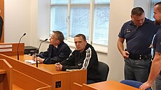 Osmat�icetiletý mu� byl odsouzen za to, �e loni v b�eznu ubodal svoji matku....