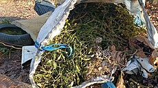 S v�tvemi mu� vyhodil i pneumatiky.