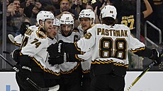 David Pastr�ák (vpravo) z Bostonu se raduje se spoluhrá�i z gólu v zápase s...