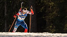 eský biatlonista na trati sprintu Svtového poháru v Pokljuce.