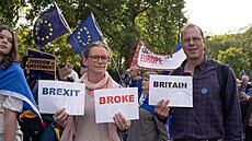 "Brexit zniil Británii". Tisíce Brit na demonstraci v Londýn poadovali...